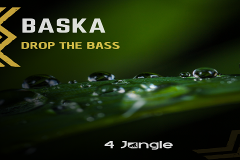 Novo Release - Baska - Drop The Bass